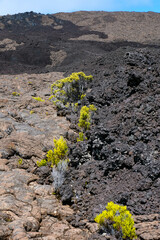 Amazing Volcano Piton de la Fournaise, La Reunion, France