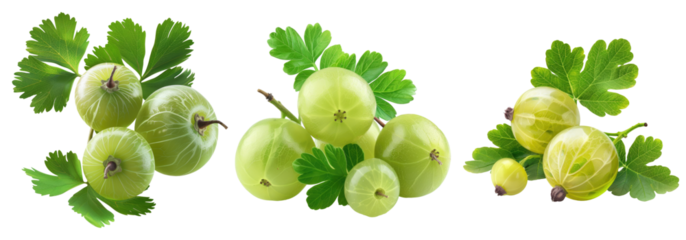 Indian gooseberry with leaves isolated on transparent background, set of