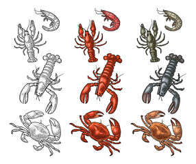 Set sea animal crustacean. Lobster, crab, crawfish, shrimp. Vector engraving color vintage illustrations isolated on white background. Hand drawn design element for label and menu