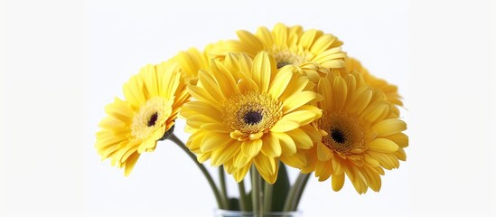 Fresh Flower Vase Yellow Gerbera