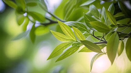 Obraz premium Spring Background, Nature of green leaves, ideal for wallpaper