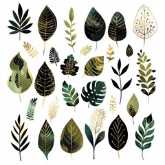 Fototapeta premium various botanical leaf silhouettes, arranged artistically on a white background.