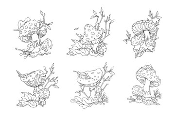 Set of linear sketches of autumn compositions with fly agaric mushrooms, wild berries, autumn leaves, dry branches. Cartoon vector graphics.