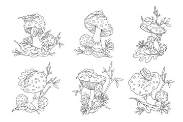 Collection of linear sketches of autumn compositions with fly agaric mushrooms, wild berries, autumn leaves, dry branches. Cartoon vector graphics.