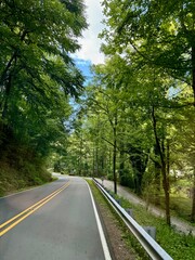 Fototapeta premium Driving through the woods on a cureved road at a in the Pisgah National Forest near Burnsville, North Carolina USA