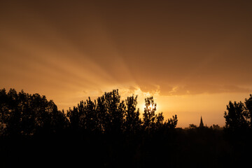 Fototapeta premium Sunset Rays with Silhouette of Trees in the Evening Sky