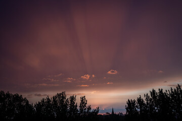Purple and Pink Sunset with Light Rays and Tree Silhouettes
