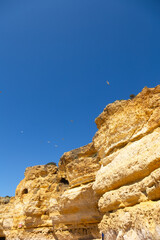 A stunning coastal scene of Algarve, Portugal, showcasing the region's famous golden sandstone cliffs under a bright blue sky. Seagulls soar overhead, embodying the serene beauty of southern Portugal.