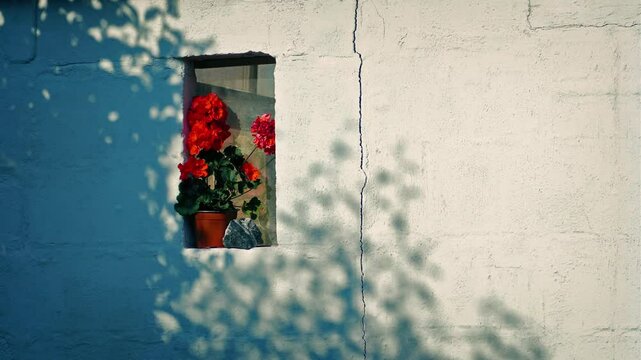 Rustic Wall In The Evening Sun With Shadows Moving