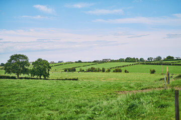 Agriculture, countryside and landscape of farm with blue sky for growth, development or sustainability. Background, field and wallpaper with field of green grass outdoor in nature for net zero waste