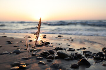 Morze zachód słońca sunset