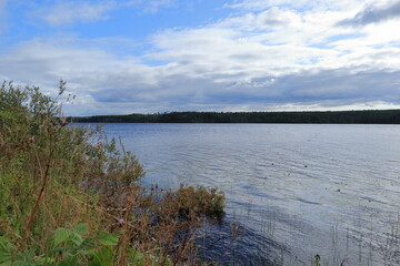 Lake. Summer day in August. Jämtand, Sweden.