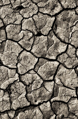 Dürre