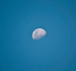 Mond