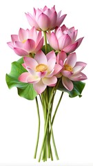 Fototapeta premium bouquet of pink roses isolated