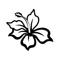 black and white flower