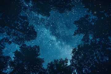 Obraz premium Enchanting Night Sky Through the Trees