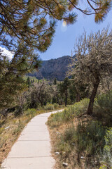 path in the mountains