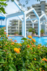 low angle closeup view of tropical hotel swimming pool with blurred people in the background