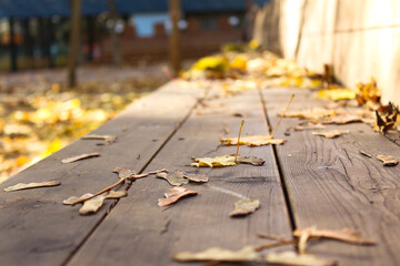 Autumn leaves on a wooden bench