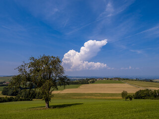 Sommerlandschaft mit sanften Hügeln und dramatischen Wolken im Mostviertel, Niederösterreich