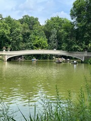 Central park bridge