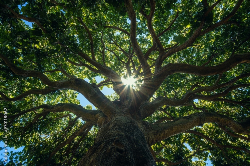 Poster the grand tree's branches weave an intricate canopy as sun rays pierce through, symbolizing growth a