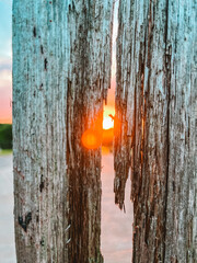 trunk light always finds it way