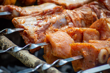 Grilled pieces of pork meat on metal skewers. Shashlik or shish kebab prepared on barbecue grill over hot charcoal with grilled vegetables.