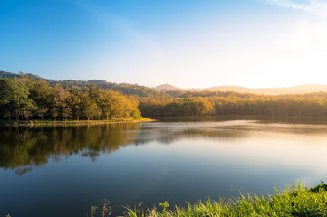 Beautiful forest lake at sunrise
