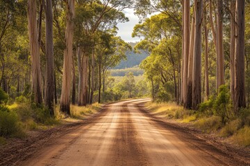 Obraz premium Remote Australian bush road journey to rural destination eucalyptus forest escape