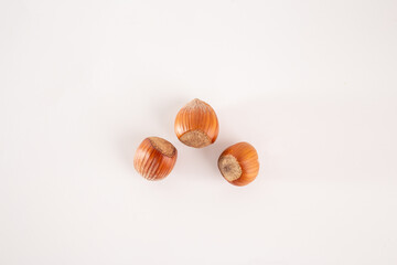 a group of hazelnuts on a plain white background. The nuts are in their shells, which have a textured surface, and they are placed close to each other in the center, food, nutrition, natural objects.