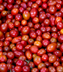 Delicious fruits and vegetables for a healthy diet. Oranges, Tangerines, Pears, Peppers, Red Apples, Green Apples, Cherry Tomatoes, Squashes.