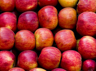 Delicious fruits and vegetables for a healthy diet. Oranges, Tangerines, Pears, Peppers, Red Apples, Green Apples, Cherry Tomatoes, Squashes.
