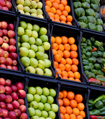 Delicious fruits and vegetables for a healthy diet. Oranges, Tangerines, Pears, Peppers, Red Apples, Green Apples, Cherry Tomatoes, Squashes.