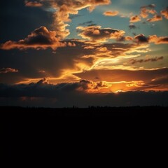 sunset over the field