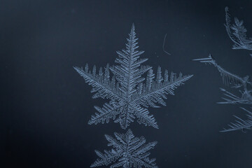 Fractal snowflace icicle in a glass window