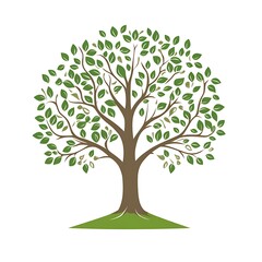 Fototapeta premium A Detailed Illustration of a Tree with Green Leaves and a Brown Trunk