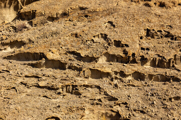 Texture arid desert sandstone rocks with some shrubs. Concept: Sandstone, desert, arid, recognito.