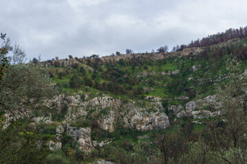 Fototapeta premium View of the meadows with trees at the Anapo valley with Pantalica Plateau in nature reserve Pantalica during spring time, Siracusa, Sicily, Italy