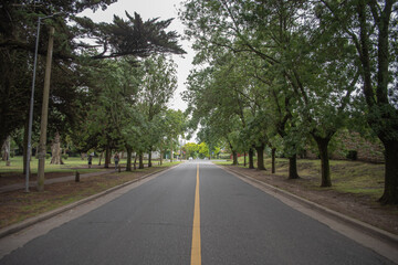 camino 