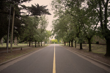 Fototapeta premium calle y parque