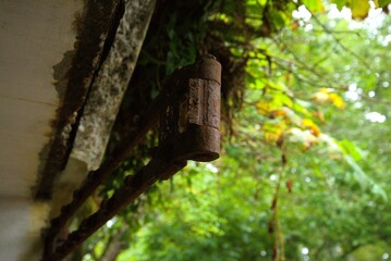 Extreme close up of rusty metal hinge of a broken door in Fort Canby State Park, with lush foliage out of focus int he background. 