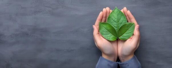 Leadership setting up sustainability committees across departments to ensure that green practices are embedded in every aspect of the business