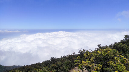 Obraz premium Beautiful view from the top of Mount Gede