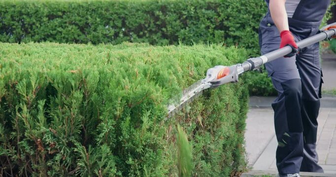 Close up of male gardener in uniform and gloves using petrol hedge cutter for pruning overgrown bushes. Concept of people, plants and gardening. 