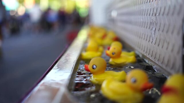 yellow rubber ducks floating in water, part of a carnival or fair game