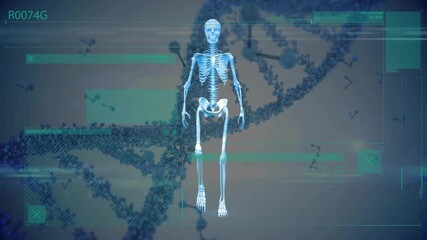 Animation of scientific data processing over human skeleton and dna strand - Powered by Adobe