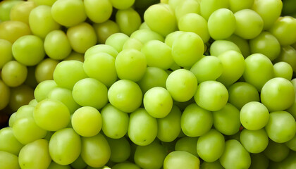 シャインマスカット