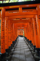 Obraz premium Fushimi Inari Taisha Shrine in Kyoto, Japan